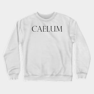 CAELUM Crewneck Sweatshirt